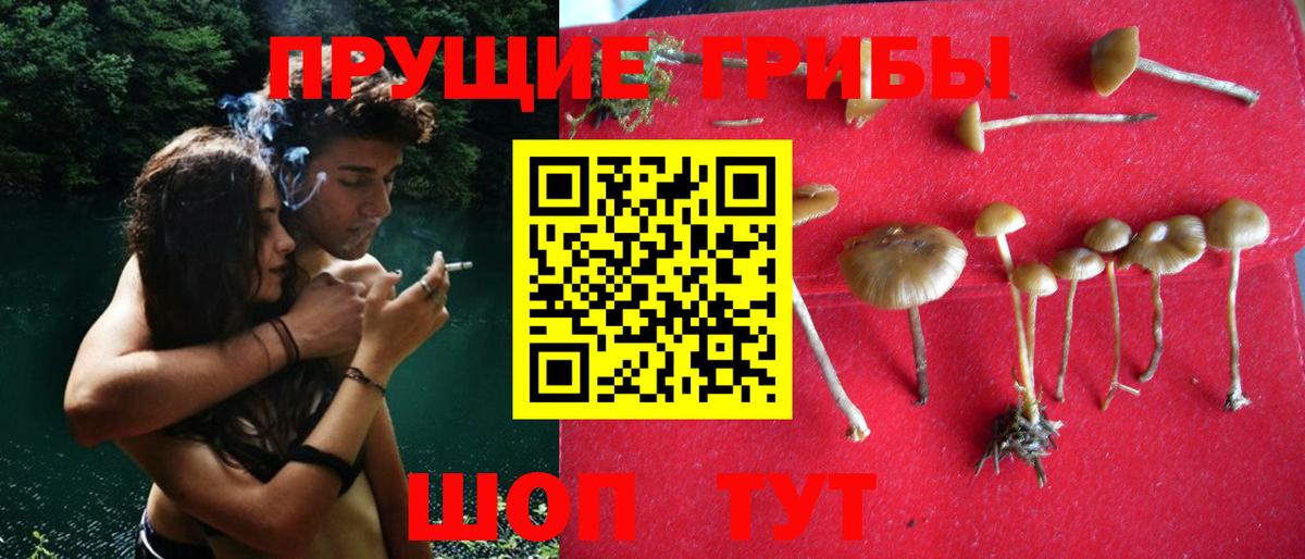 Псилоцибиновые грибы MAGIC MUSHROOMS  Вход с VPN  Рубцовск 